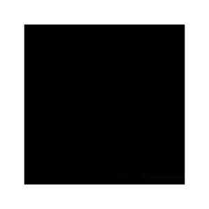 Porc. Pure Black Pulido