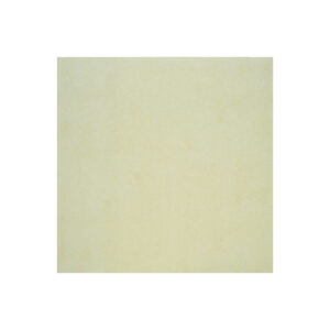 Porcelanato Shell Beige Smooth